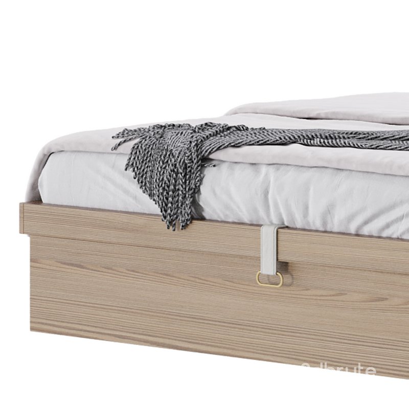 Brown Wooden Panel Bed Image 4