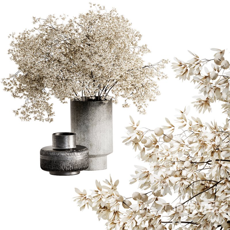 Indoor Plant 08 Image 4