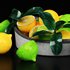 Lemons - Thumbnail 1