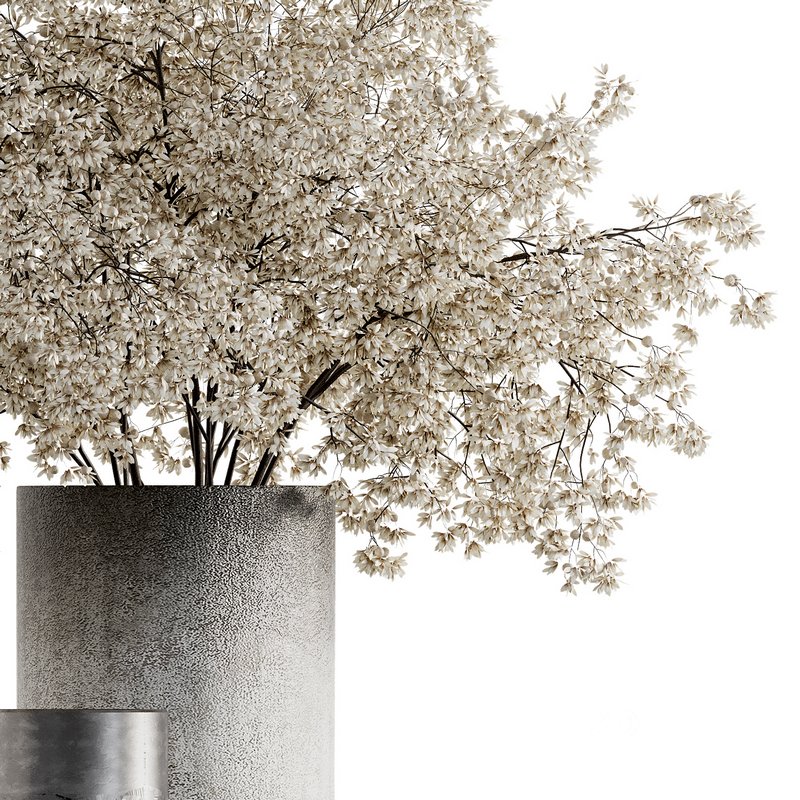 Indoor Plant 08 Image 2