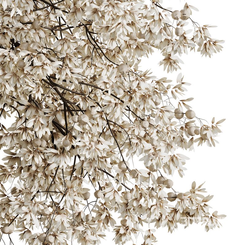 Indoor Plant 08 Image 3