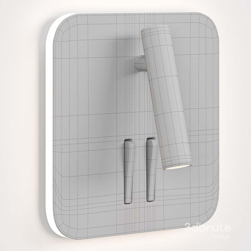 Silver Cayman Image 4