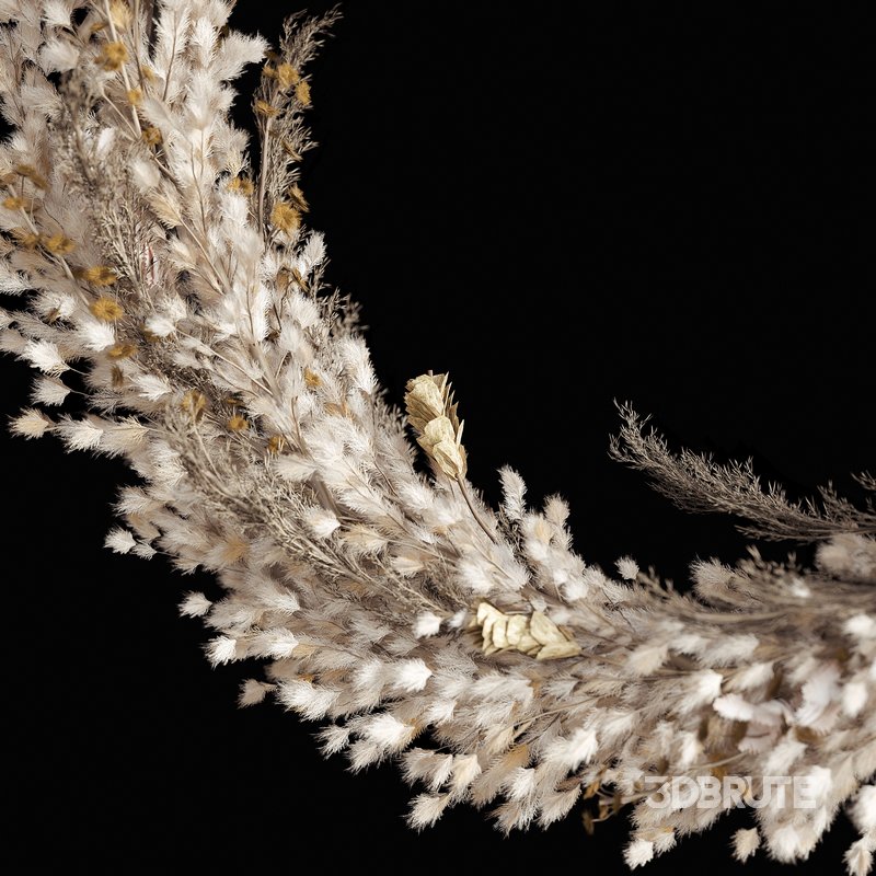 Wall hanging Pampas Ring Image 2