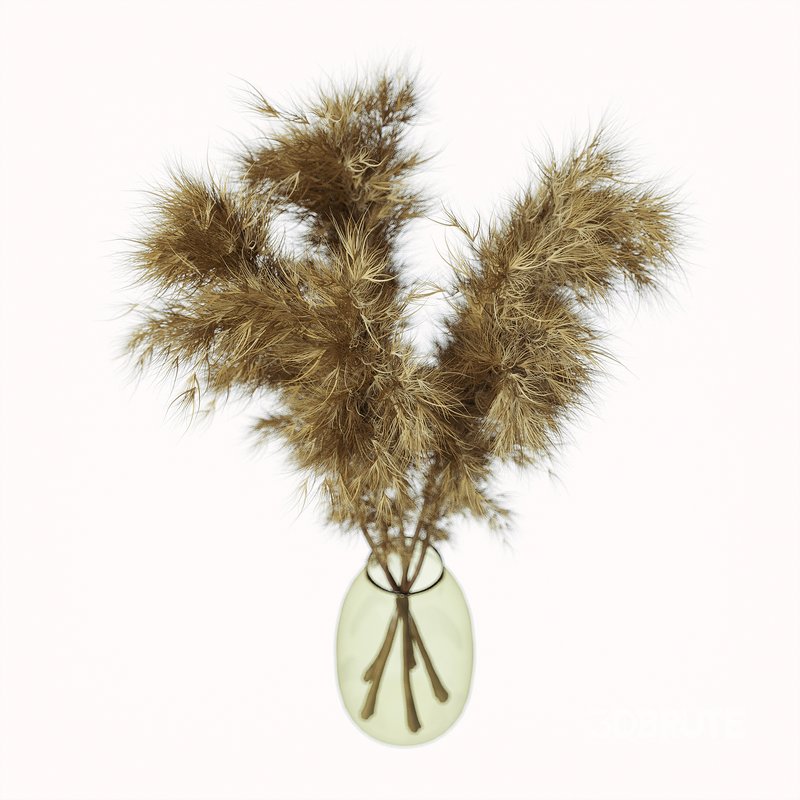 pompas bouquet Image 2