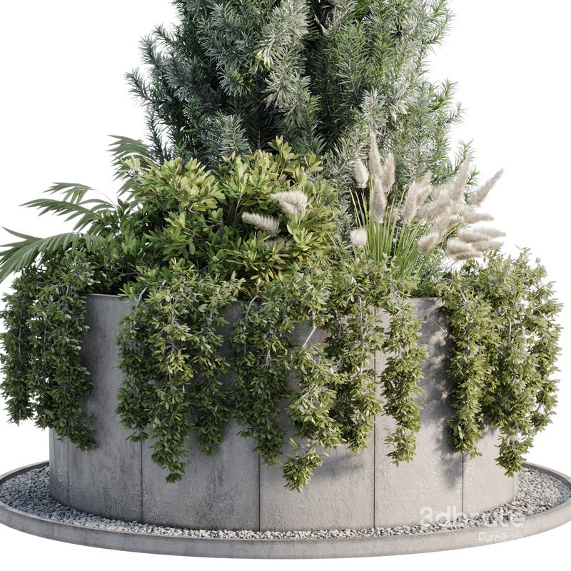 OutDoor Plant 06 Image 3