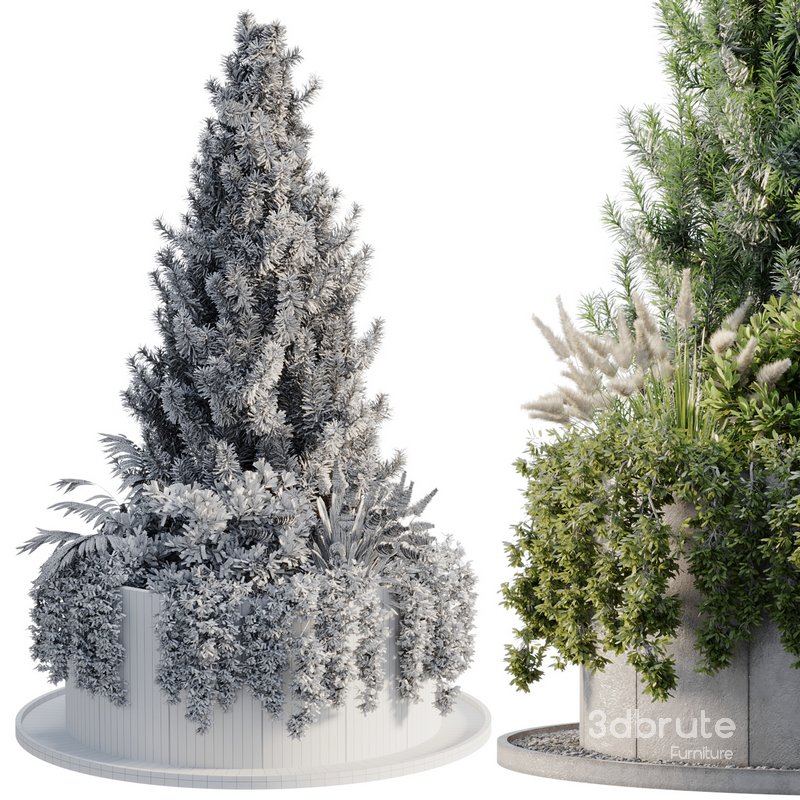 OutDoor Plant 06 Image 4