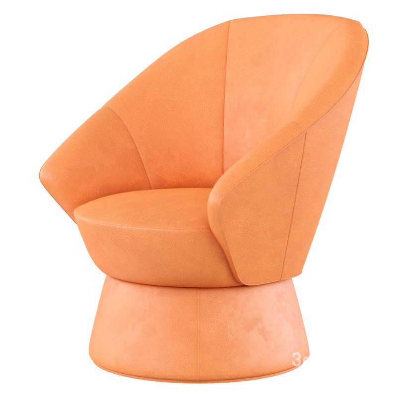 Armchair_by_De_Sede Image 1