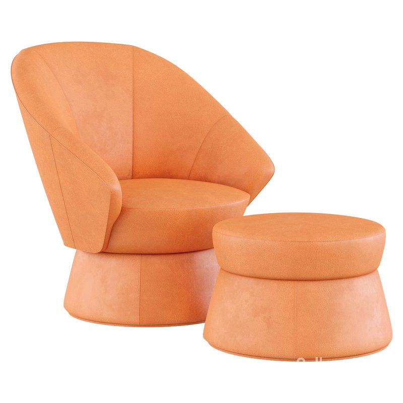 Armchair_by_De_Sede Image 2