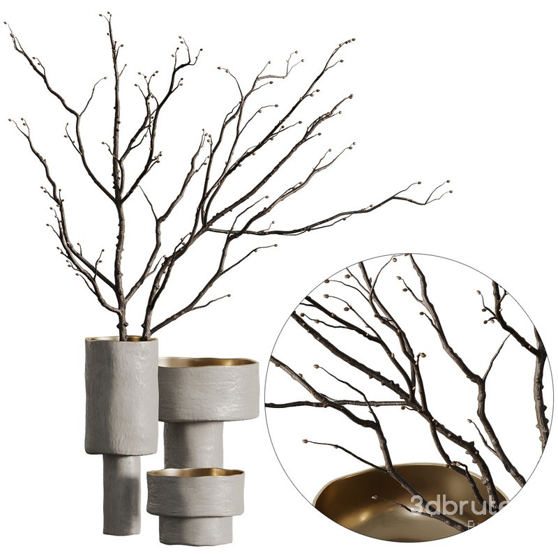 Indoor Plant 07 Image 1