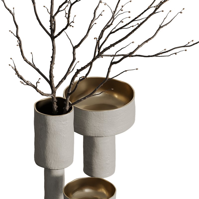 Indoor Plant 07 Image 5