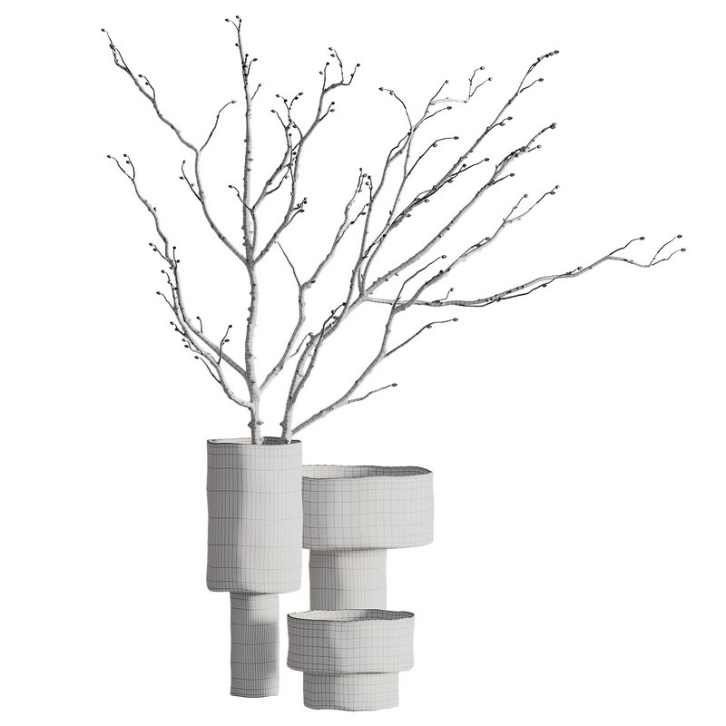 Indoor Plant 07 Image 3