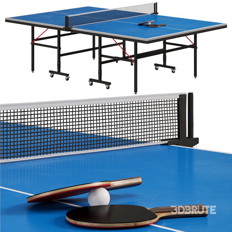 Tennis table Champion professional tournament table for table tennis by Allegro Image 2