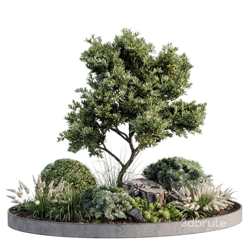 Outdoor Plant 05 Image 2