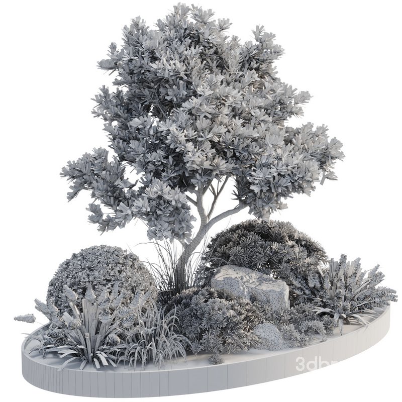 Outdoor Plant 05 Image 4