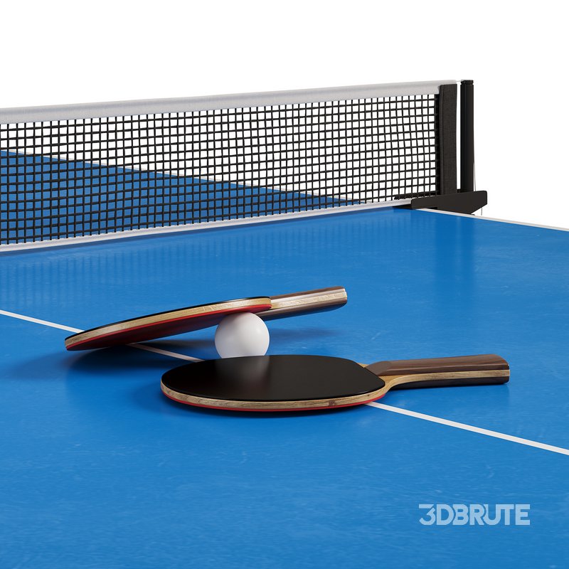 Tennis table Champion professional tournament table for table tennis by Allegro Image 4