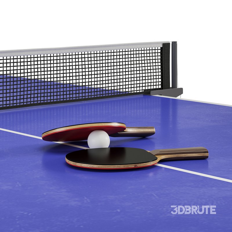 Profesyonel Ping Pong Tennis Table by Turkish Alibaba Image 5