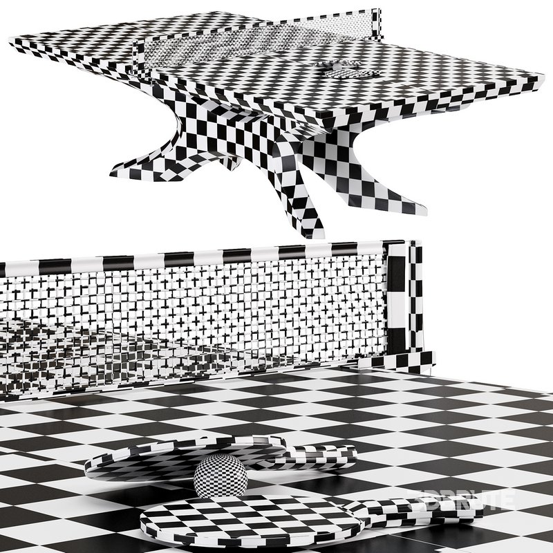 Professional tennis table SAN EI Infinity Rio by Billiardvip Image 7