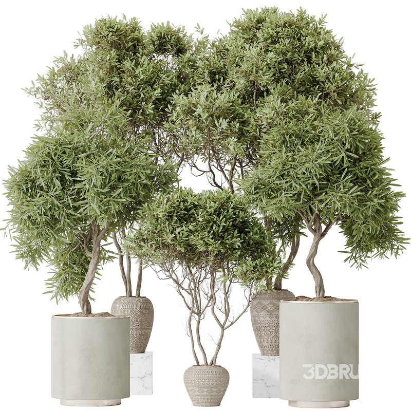 Indoor plant set 65 Image 1