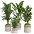 Indoor plant set02 - Thumbnail 1