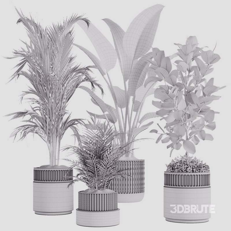 Indoor plant set02 Image 2