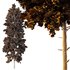 Pin Tree 08 - Thumbnail 2