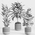 indoorplant_ficus_set01 - Thumbnail 2