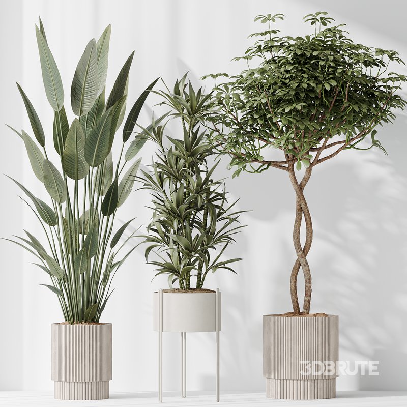 Indoor plants set 58 Image 4