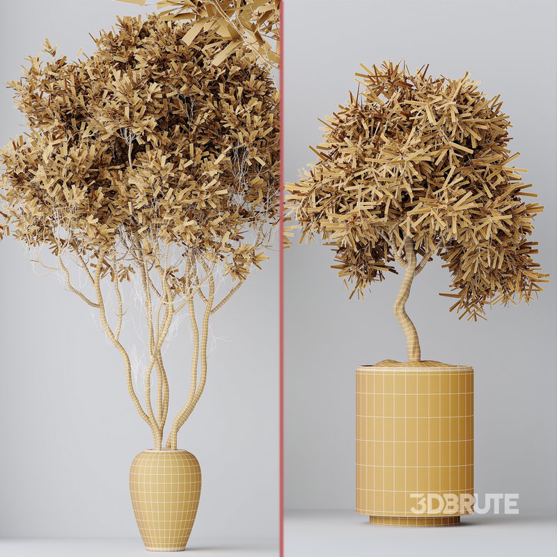 Indoor plant set 65 Image 4