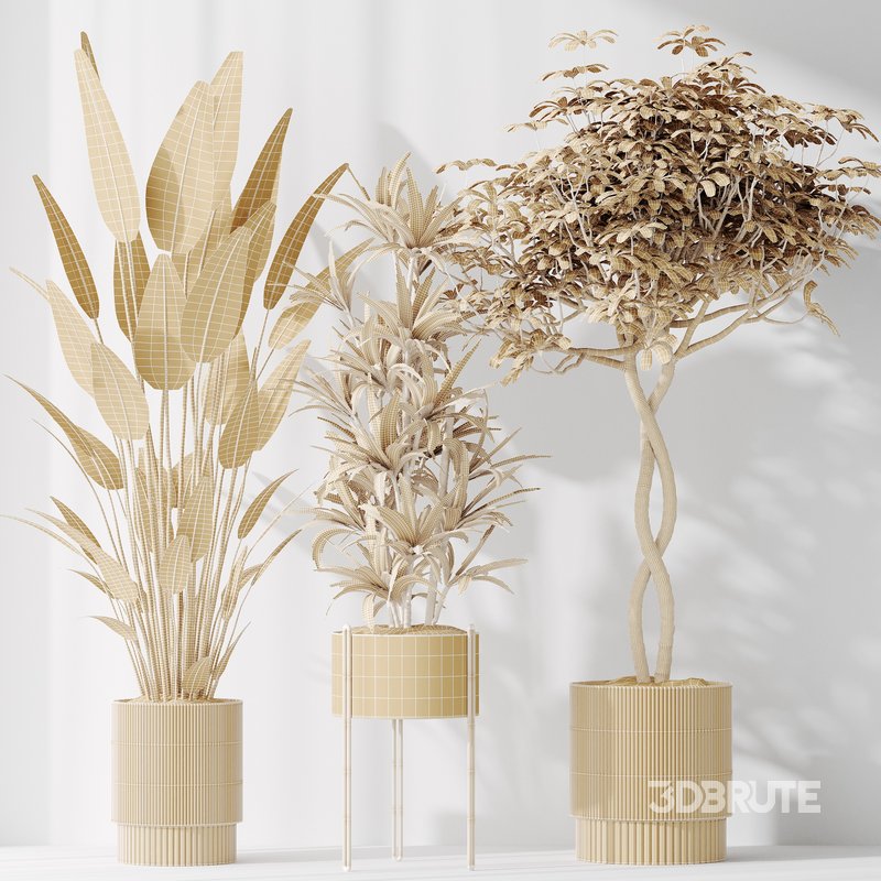 Indoor plants set 58 Image 6