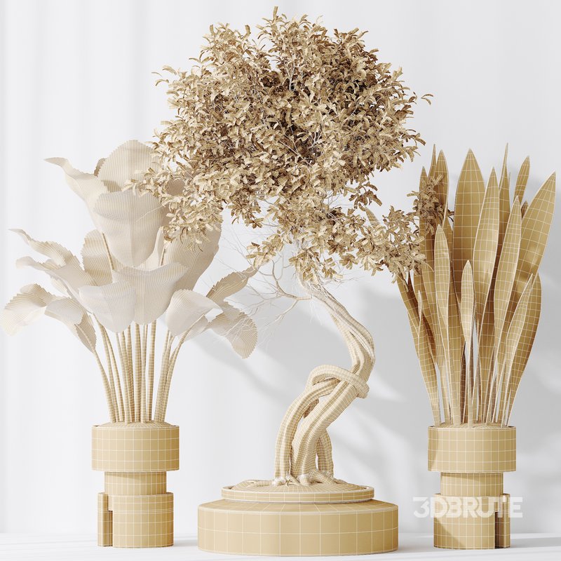 Indoor plant set 57 Image 4