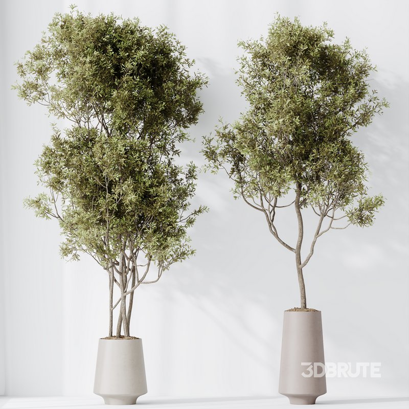 Indoor plant set 67 Image 7