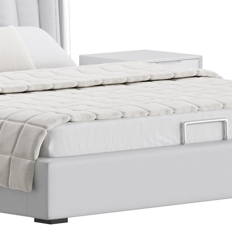 Beige Upholstered Wingback Modern bed I Image 11