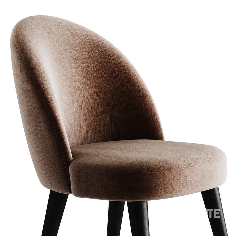 Dining soft chair Timon I Image 12