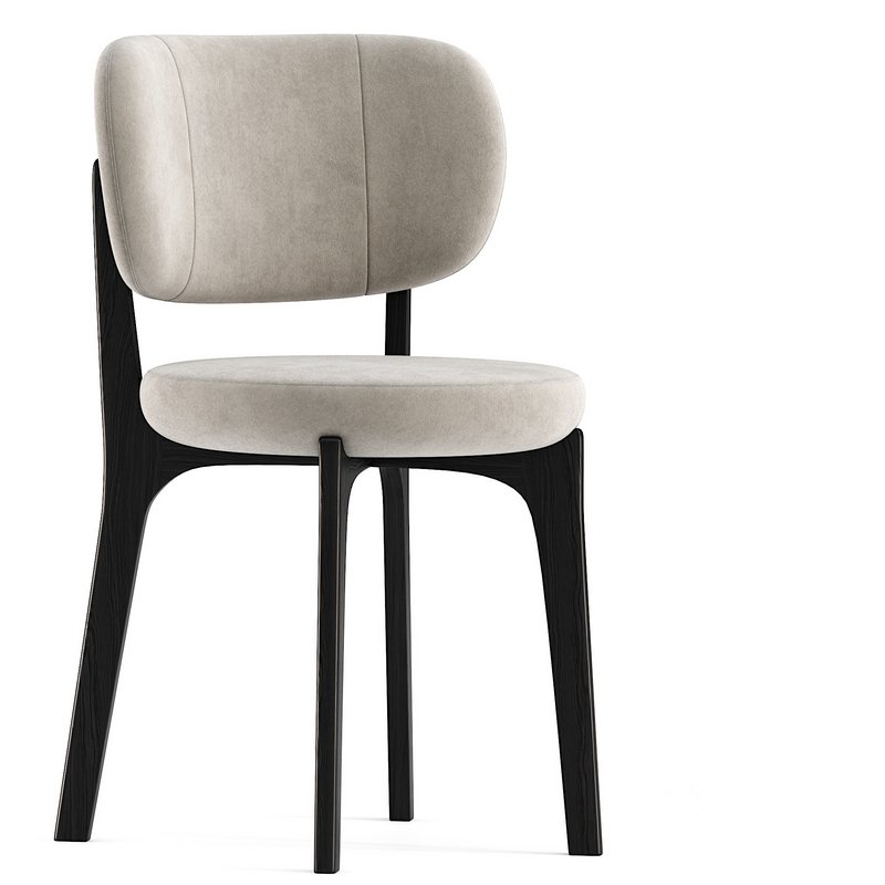 CHAIR WITH LEGS Image 1