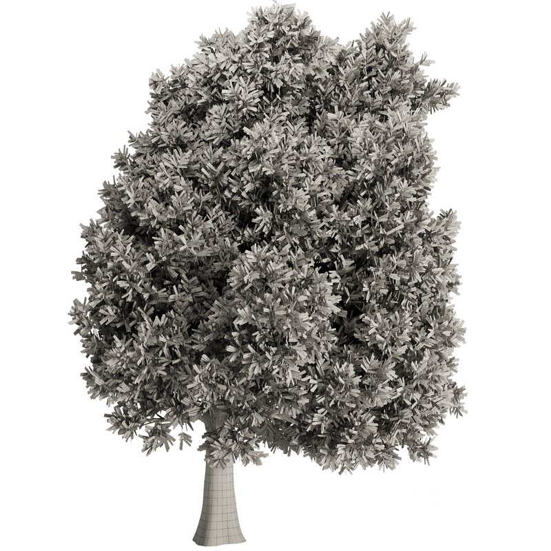 Olive Tree Set15 Image 2