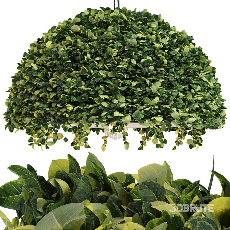 Modern Planter Led Pendant by Spingar Image 2