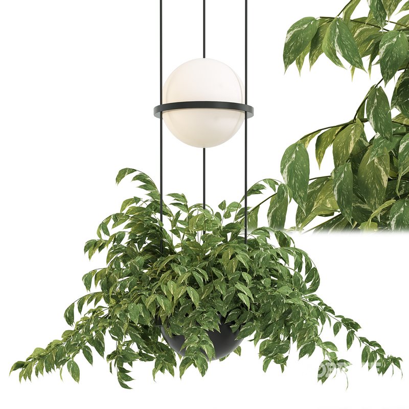 Vibia Plante Chandelier By PALMA Image 2