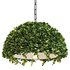 Modern Planter Led Pendant by Spingar - Thumbnail 3