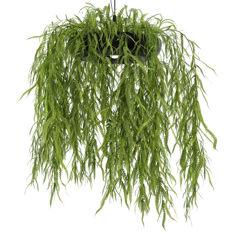 Indrid Decorative Plants Black Light By Lightmakers Image 2