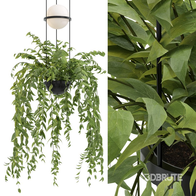 Vibia Plante Chandelier By PALMA Image 3