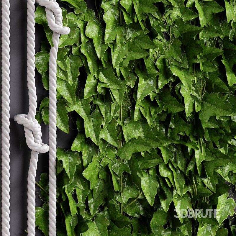 Well Dekor Set 1 Image 2