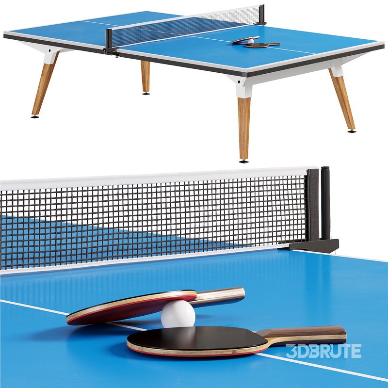 Ping Pong Table By Cornilleau Image 1