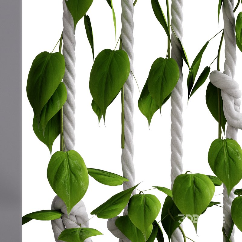 Well Dekor Set 2 Image 2