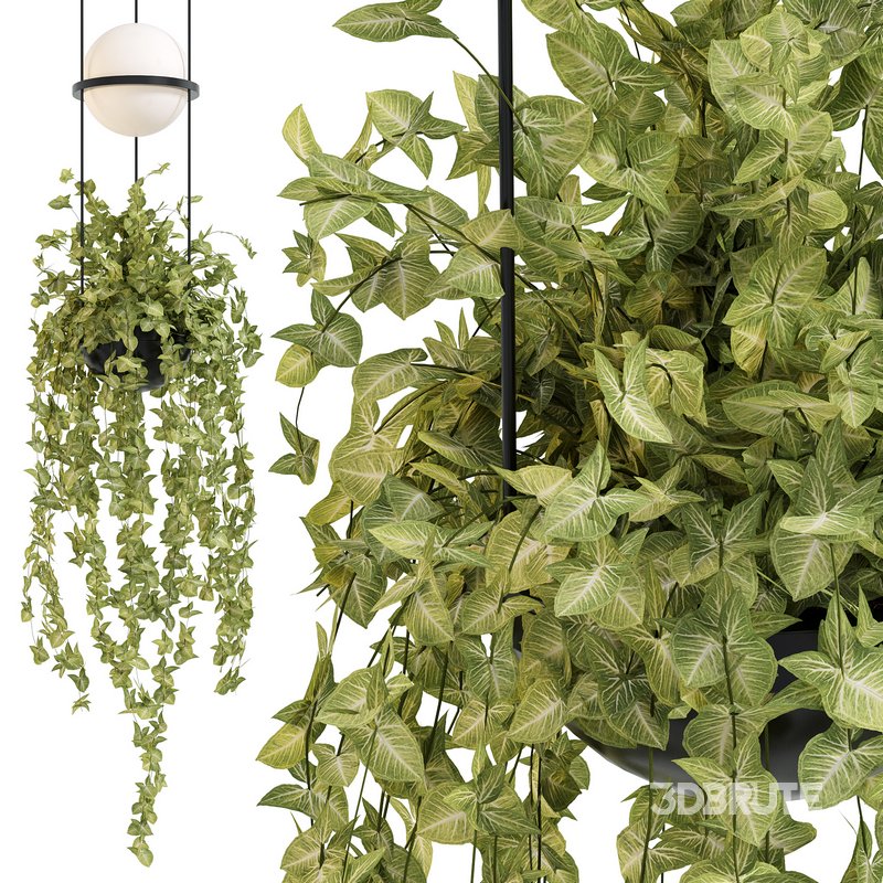 Vibia Plante Chandelier By PALMA Image 4