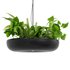 Indrid Decorative Plants Black Light By Lightmakers - Thumbnail 4