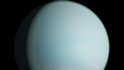 Uranus 3d model - Thumbnail 2
