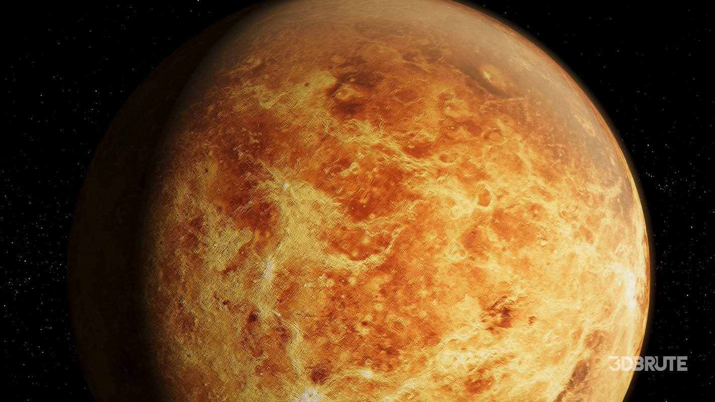 Venus 3d model Image 8