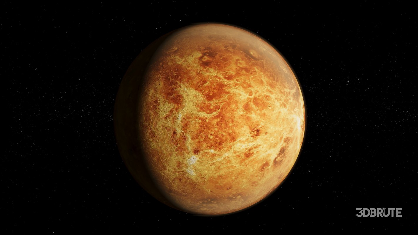 Venus 3d model Image 7