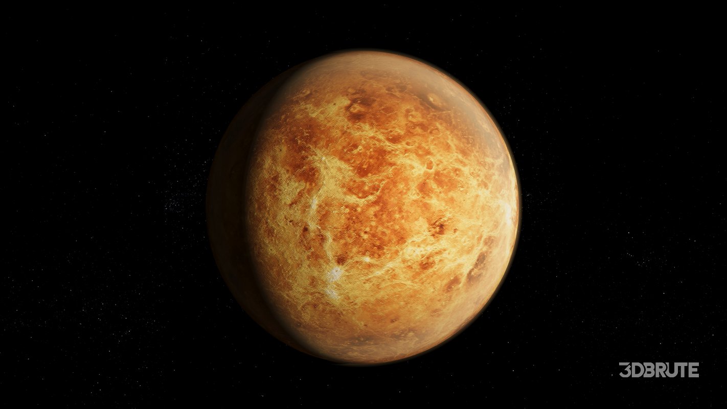 Venus 3d model Image 9