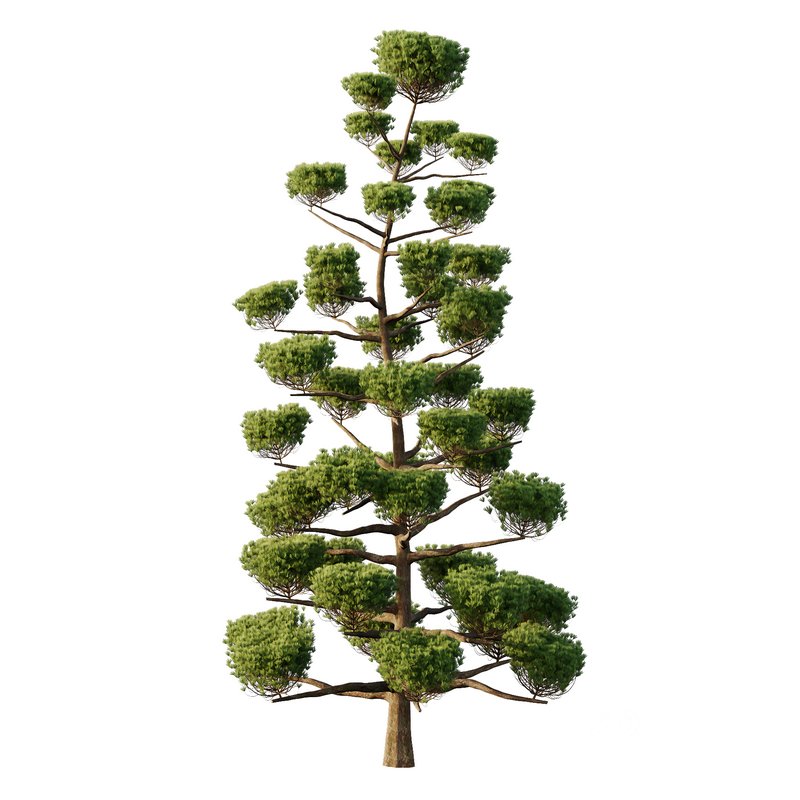 sphere Tree10 Image 1